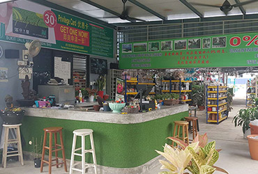 Bukit-Jalil Bukit-Jalil