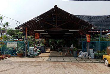 Blooming-Landscape Blooming-Landscape