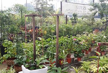 Nature-at-work Nature-at-work