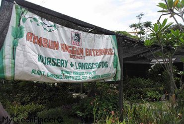 Rimbun-Nursery-Ampang-Hilir Rimbun-Nursery-Ampang-Hilir