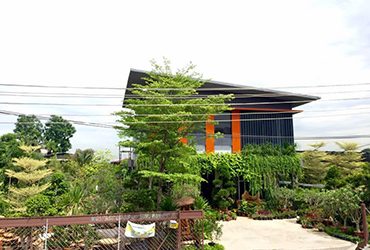 Seng-Kee-Fruit-Nursery-Kajang Seng-Kee-Fruit-Nursery-Kajang