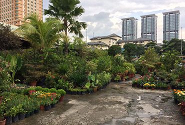 Annie-Nursery-sunway Annie-Nursery-sunway