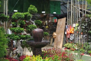 Lot 54 Nursery Damansara Lot 54 Nursery Damansara