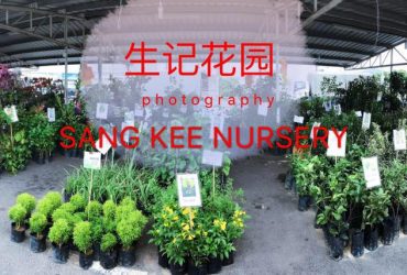 Sang Kee Nursery Sang Kee Nursery