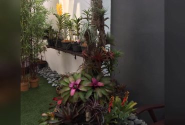 Ukay nursery Ulu klang Ukay nursery Ulu klang